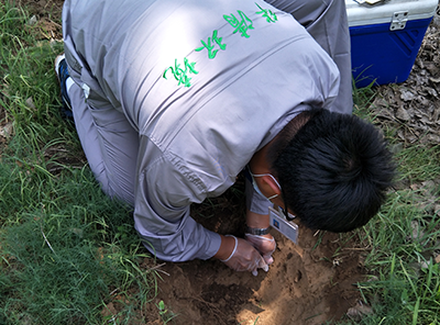 土壤治理修復(fù)技術(shù)哪種方法適合咱們土地